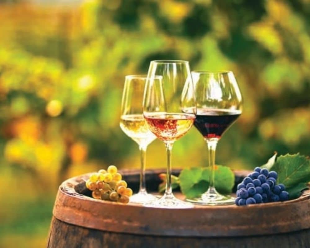 Collector’s Crown: A Guide to the World’s Most Expensive Wines