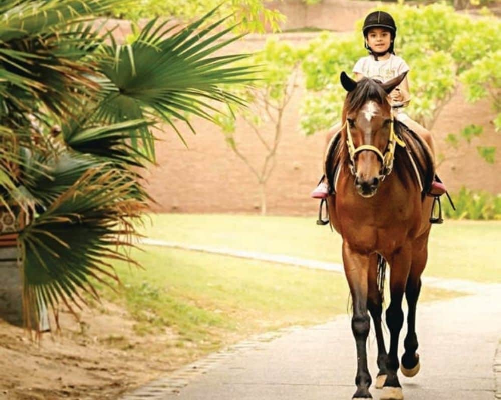 Serenity, Served Gently