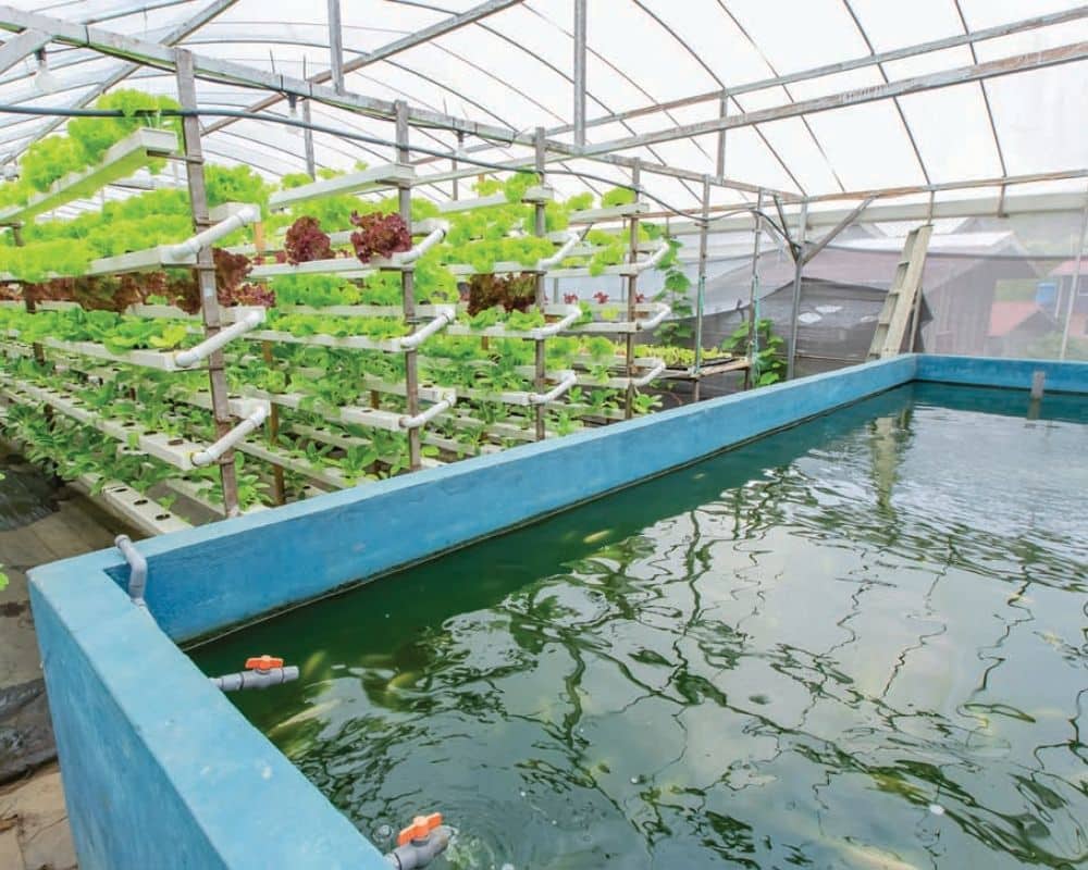 Blueprint for a Sustainable Future