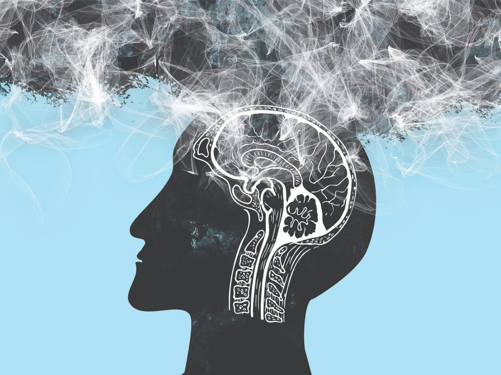 The Highs, the Lows, the Truth